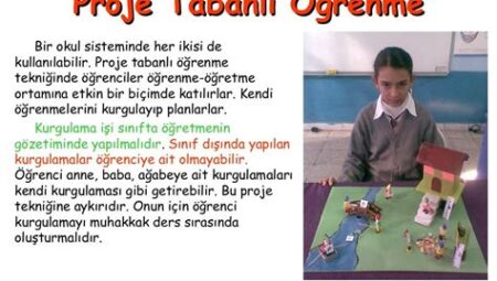 Eğitimde Proje Tabanlı Öğrenme: Devlet Okullarındaki Deneyimler